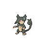 rattata-alola front sprite