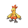 combusken front sprite