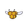 combee front sprite