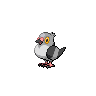 pidove front sprite