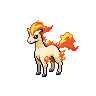 ponyta front sprite