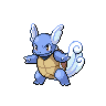 wartortle front sprite