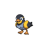 wattrel front sprite