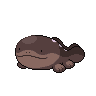 clodsire front sprite