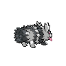 zigzagoon-galar back sprite