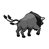 tauros-paldea-combat-breed back sprite