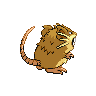 raticate back sprite