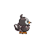 starly back sprite