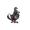 staravia back sprite