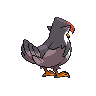 staraptor back sprite