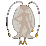 pheromosa back sprite