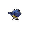 rookidee back sprite